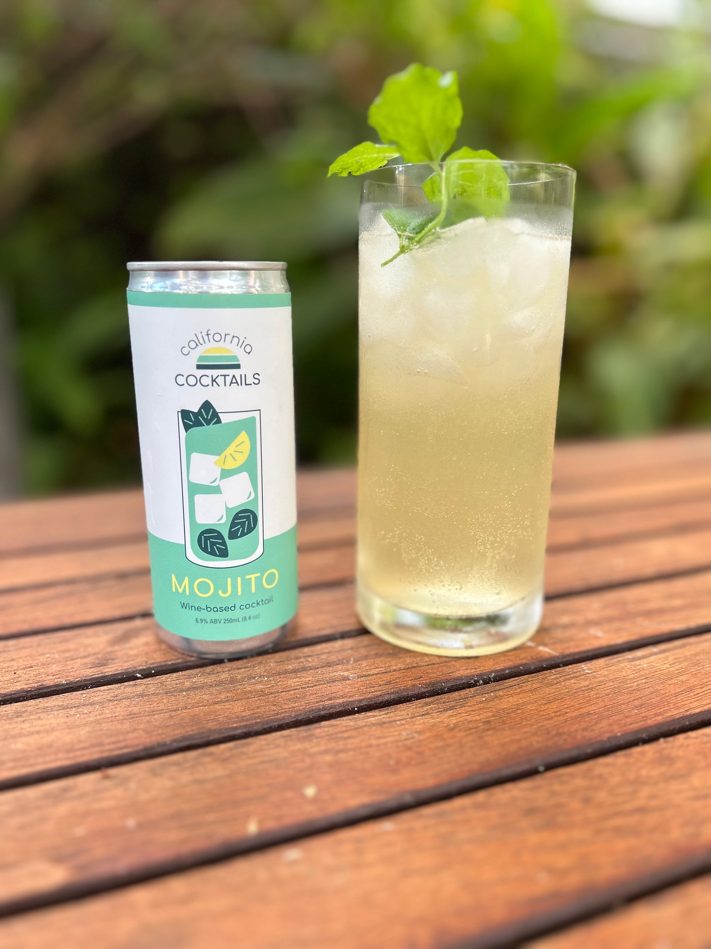 Mojito 4-Pack